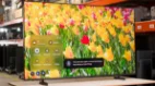 تلویزیون سامسونگ 65 اینچ MINI LED هوشمند 4K اسمارت 2026 مدل 65M80H